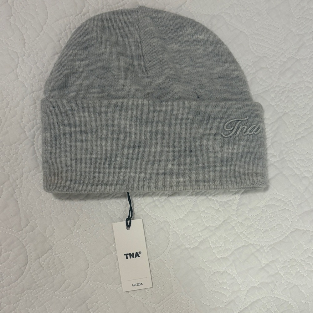TNA Light Grey Knit Cuffed Beanie NWT Aritzia